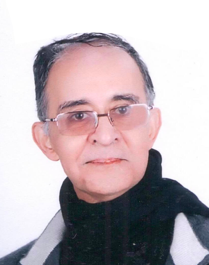 Riadh Ben-Ismail