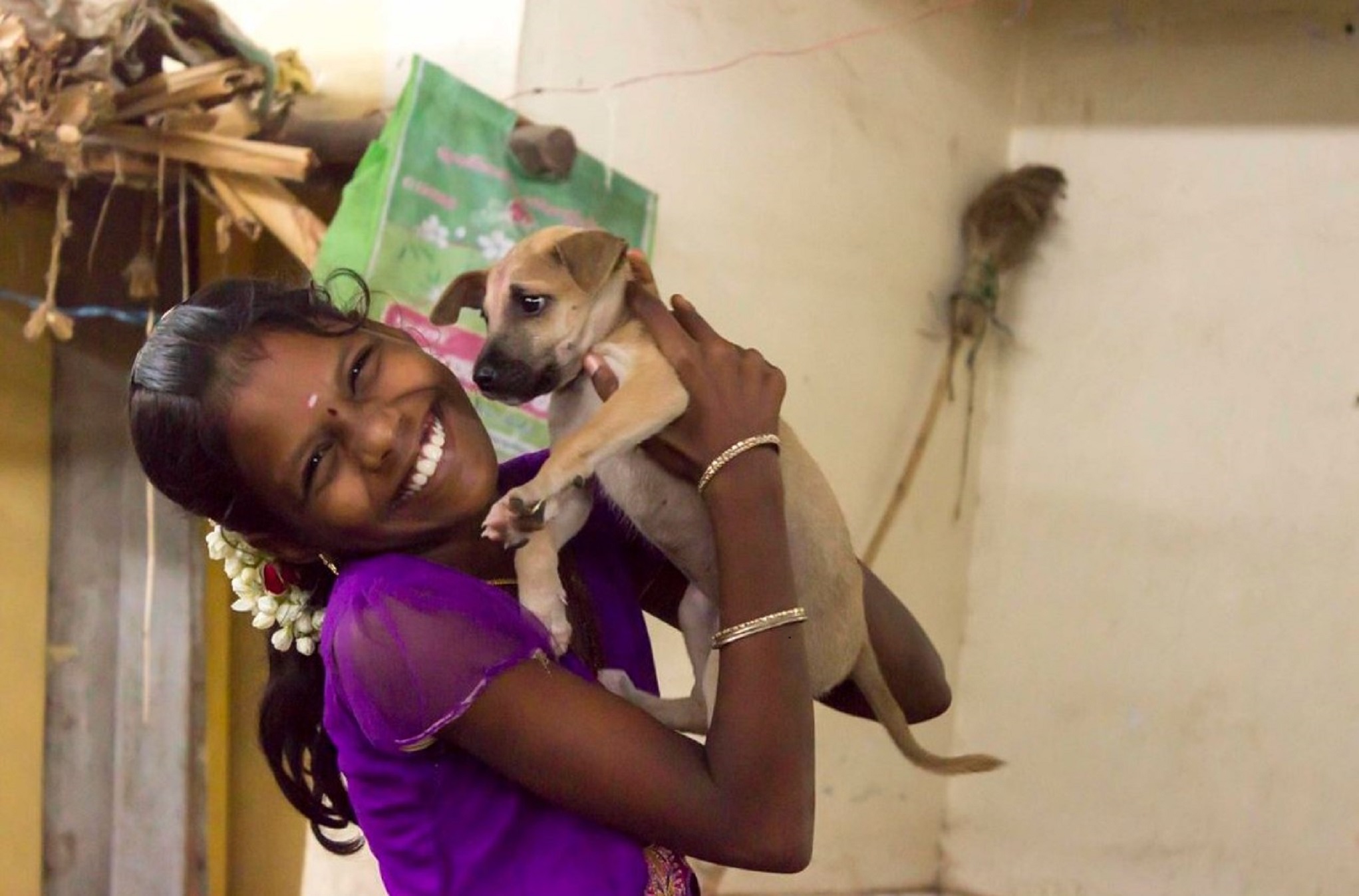 World Rabies Day 2023: All for 1, One Health for all !