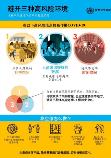 3Cs poster for HQ ZH