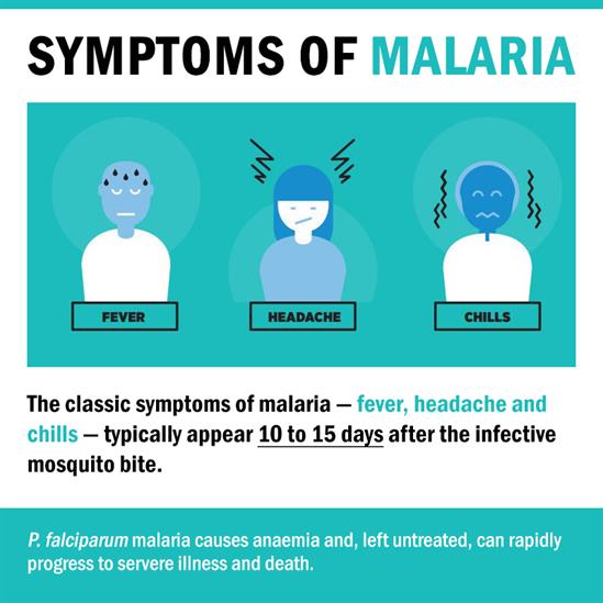 symptoms of malaria