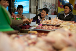 Selling poultry at a market in Hanoi progressive-pathway-towards-one-health-leadership