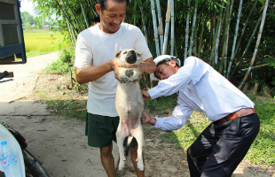world_rabies_day_2014_v2 (1)