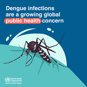 Dengue outbreak response in the Western Pacific Region