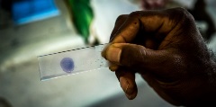 Vaccination research